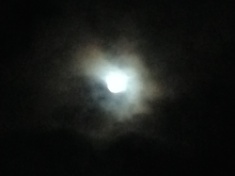 ￼￼kayla_parker_moon1_15_03_05