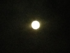￼￼kayla_parker_moon1_15_06_03