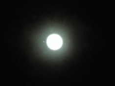 ￼￼kayla_parker_moon1_16_02_22