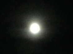 ￼￼kayla_parker_moon1_16_03_23