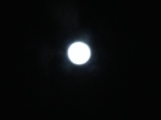 ￼￼kayla_parker_moon2_15_02_03
