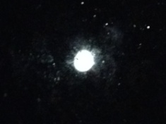 ￼￼kayla_parker_moon2_15_05_25