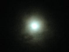 ￼￼kayla_parker_moon2_16_02_22