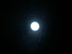 ￼￼kayla_parker_moon2_17_01_11