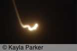 Photo of the full moon taken hand-held with long exposure so there's a trace of movement described in the sky