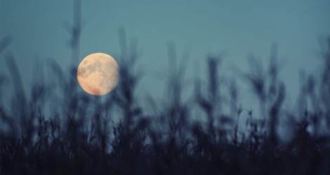 kayla_parker_moon1_17_09_06