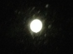 kayla_parker_moon2_15_08_31